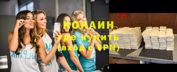 мдпв Дмитриев