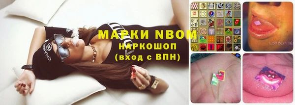сатива Гусиноозёрск