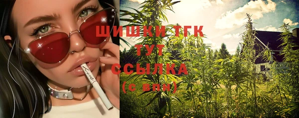 сатива Гусиноозёрск