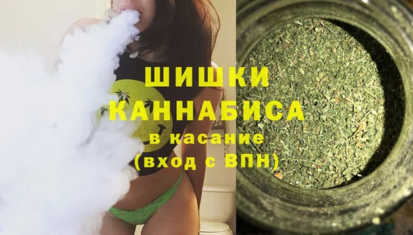 ешки Гусев