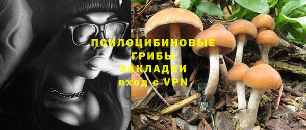 мдпв Дмитриев
