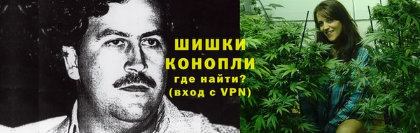 a pvp Гусь-Хрустальный