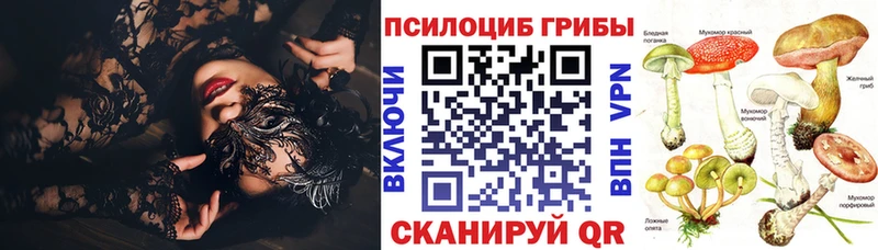 Галлюциногенные грибы Psilocybe ОМГ ОМГ ТОР Курск дарнет шоп