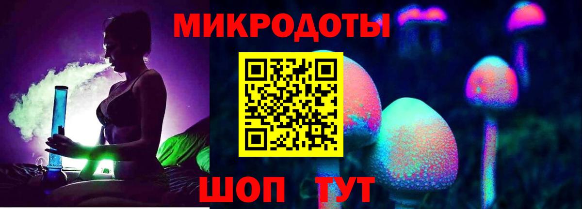 купить наркотик  Галлюциногенные грибы Psilocybe  Вход с VPN  Курск 